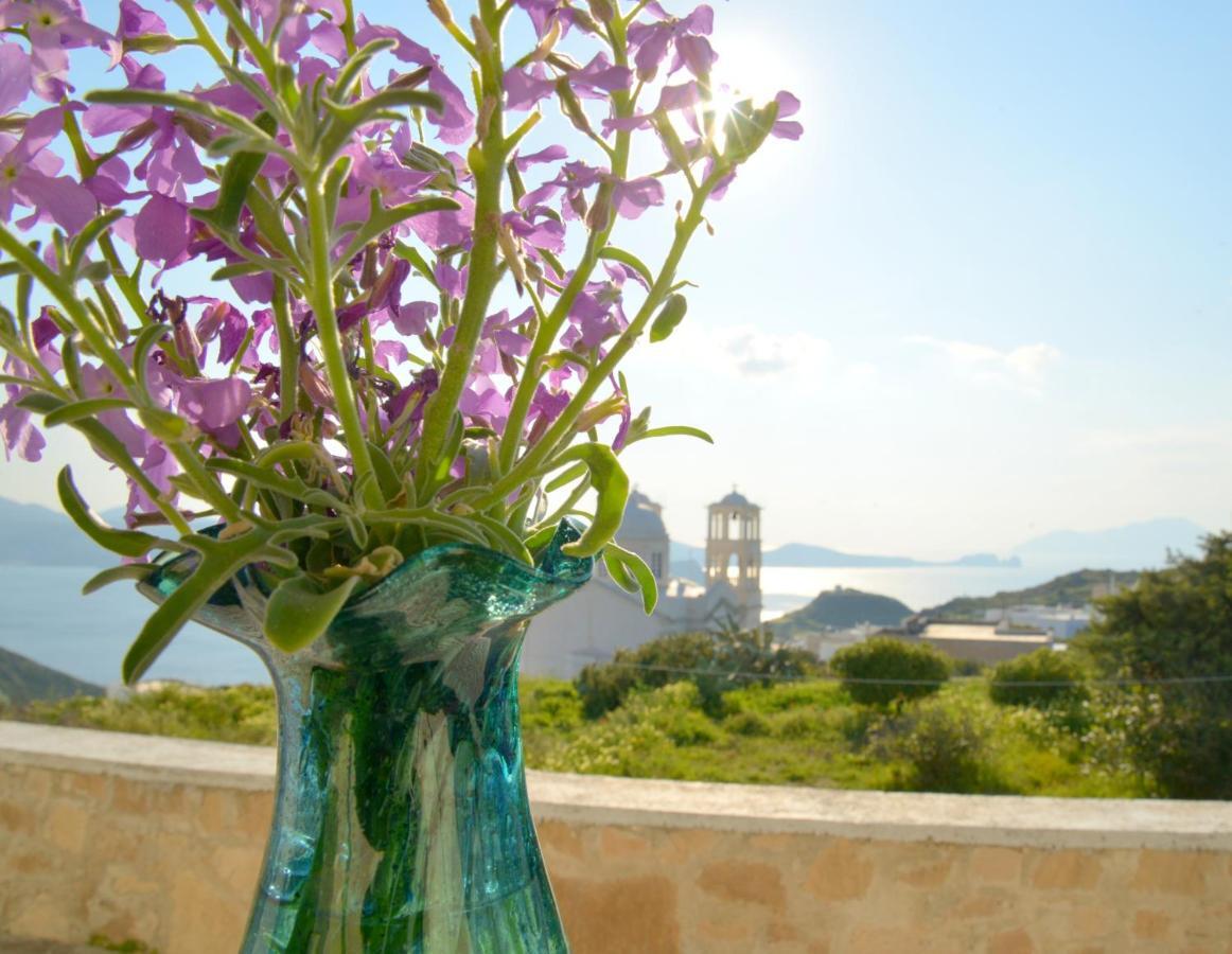 טריפיטי Villa De Viento מראה חיצוני תמונה